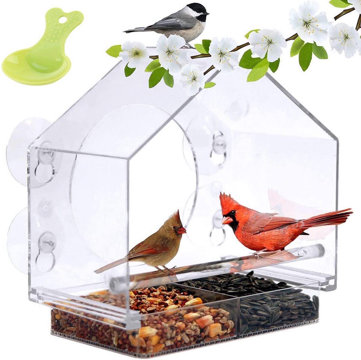 window bird feeder