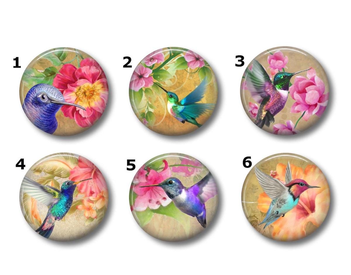 hummingbird magnet set