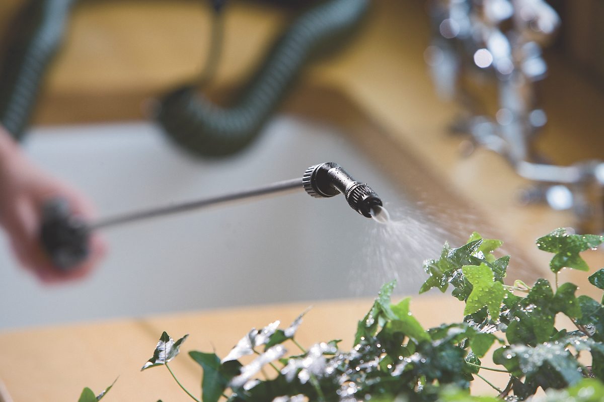 Mini coil hose for indoor plant watering