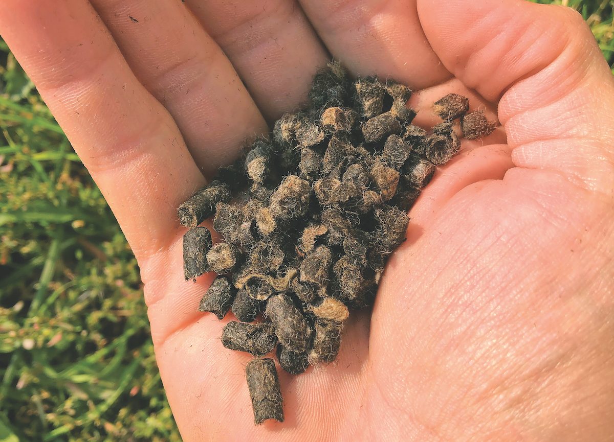 Wool pellets for plant watering