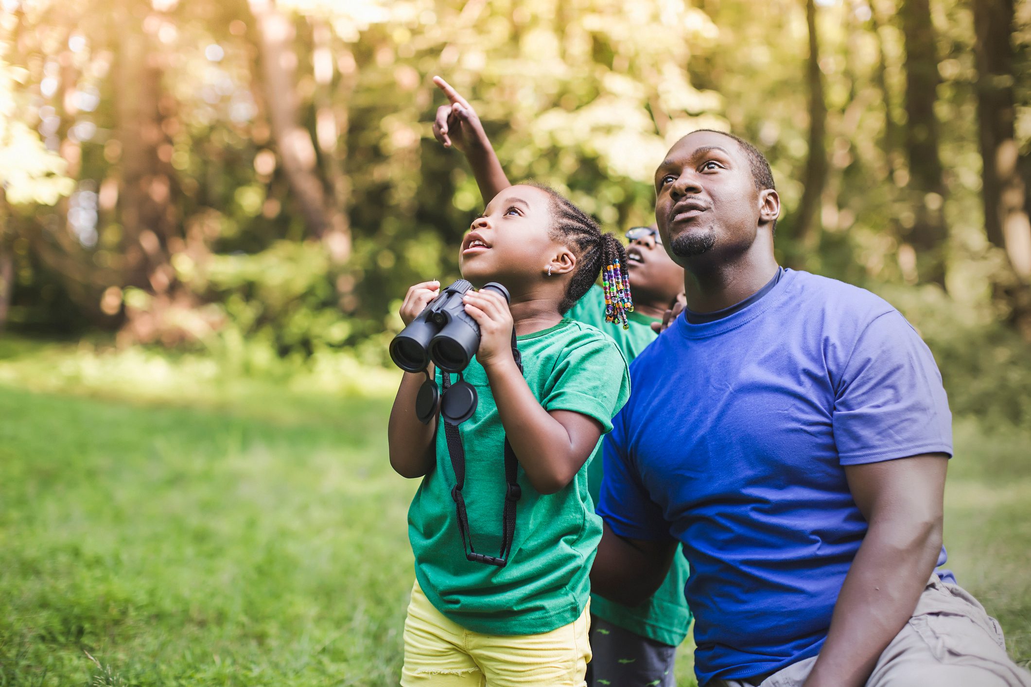 bird-watching for beginners