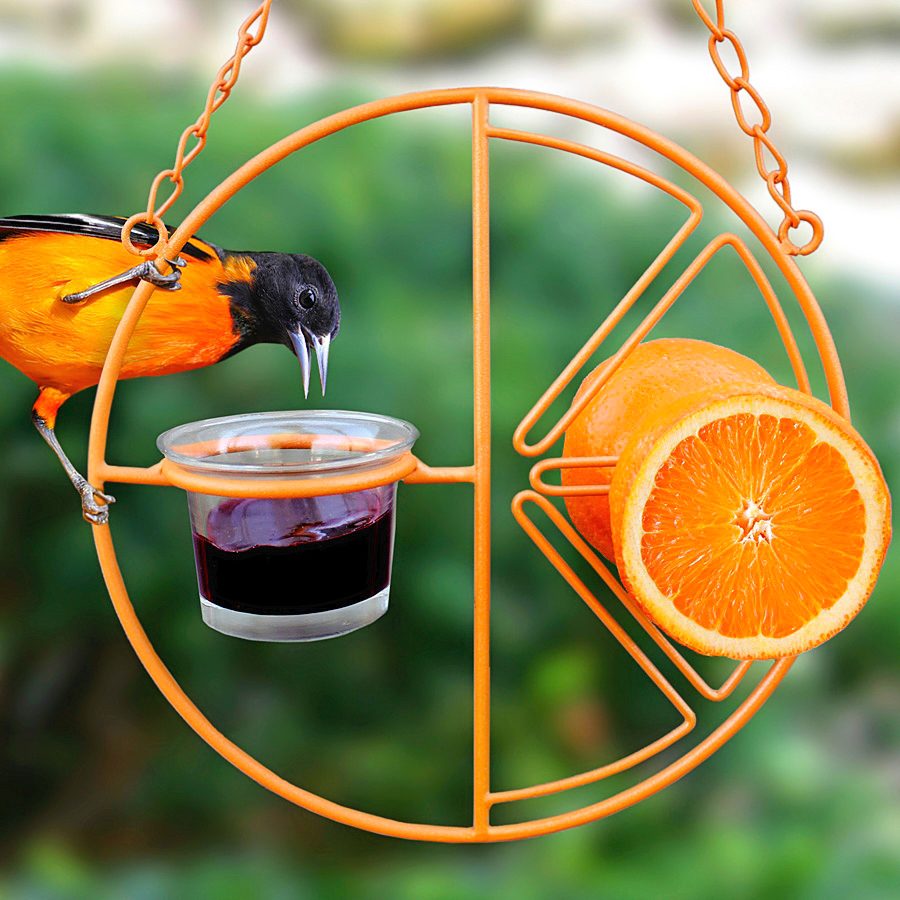 oriole feeder