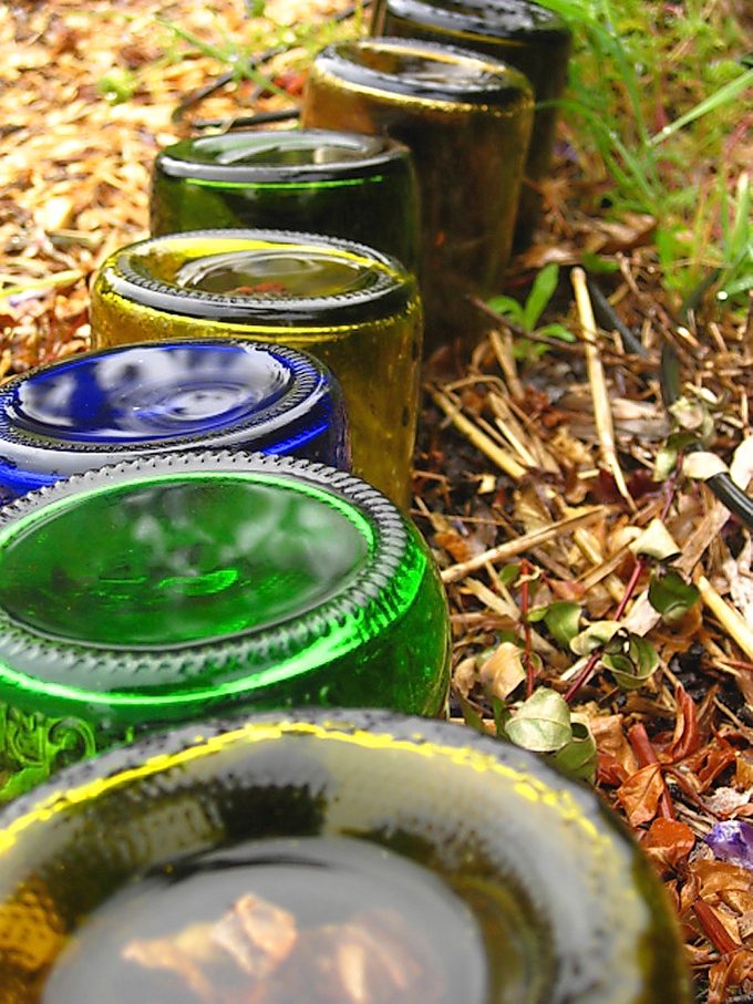 edging with wine bottles
