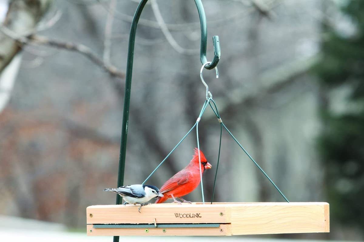 Cardinal Tray Feeder