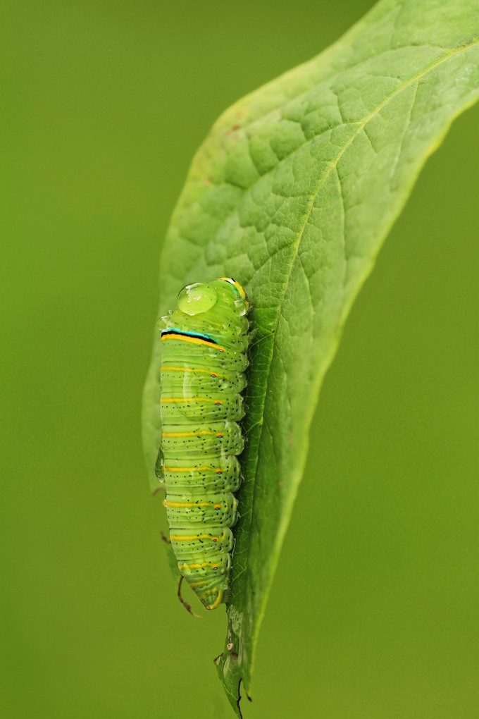 Shutterstock 1327683092 0001