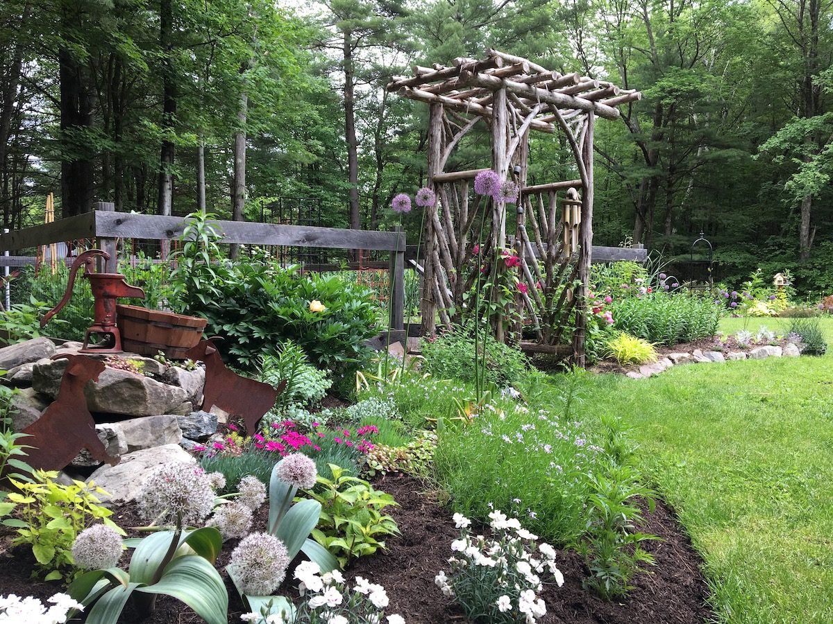 shade garden plants
