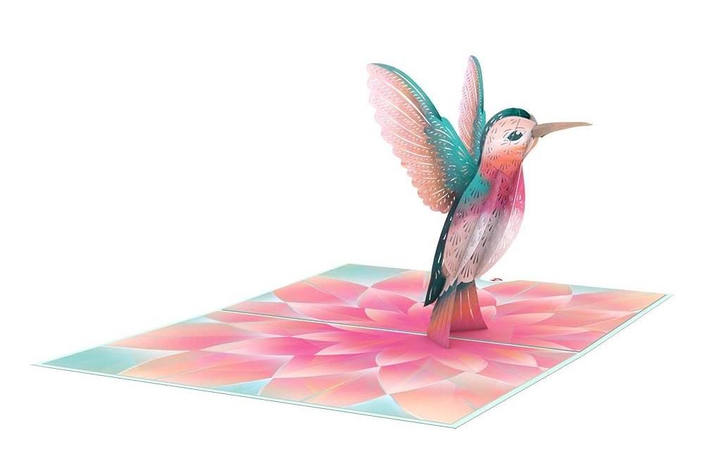 Lp2400 Lovely Hummingbird Overview 1024x1024