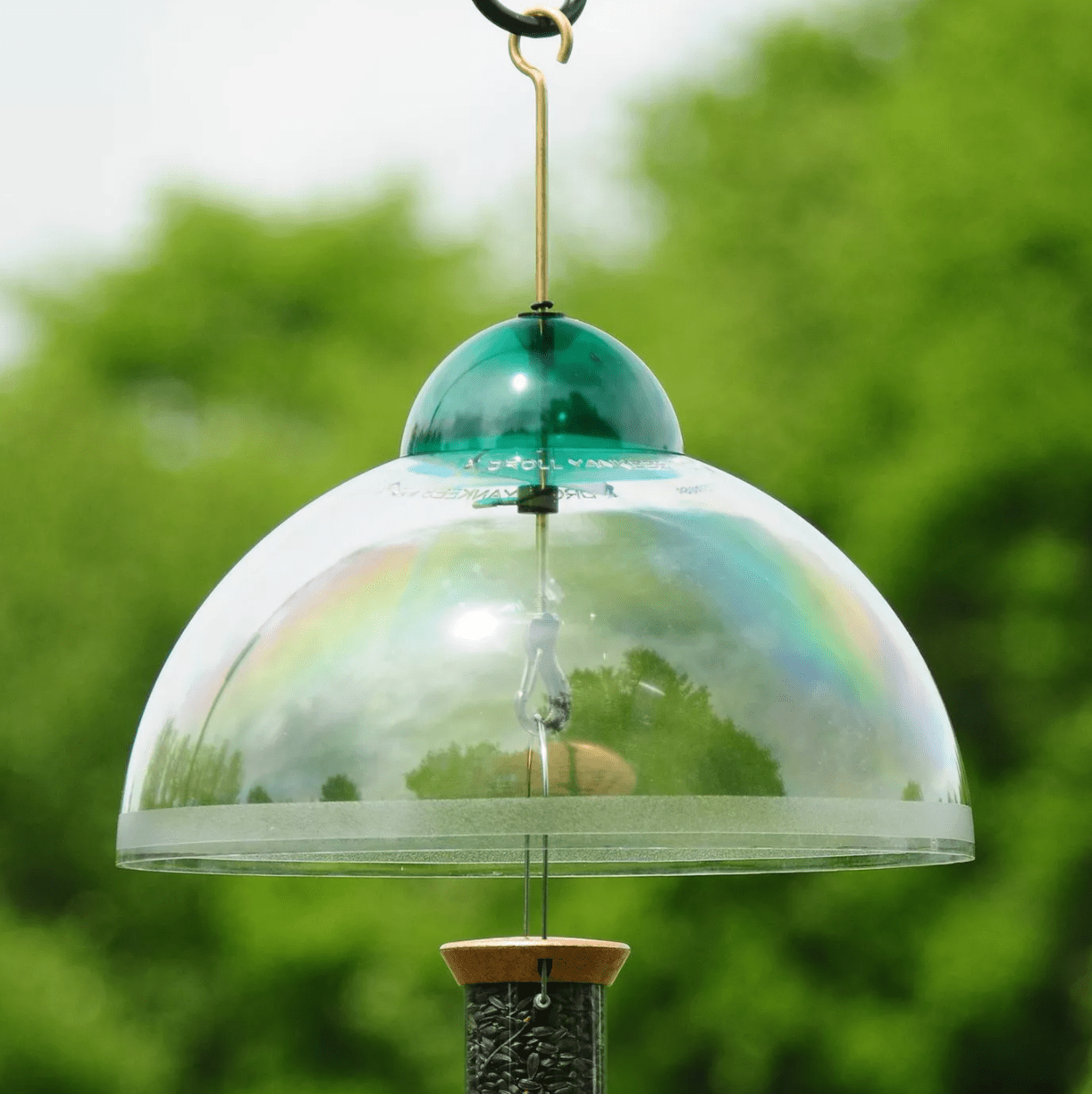 Droll Yankees 15" Squirrel and Weather Guard
