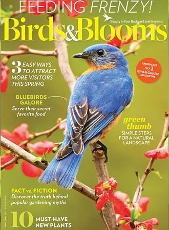 Magazine Cover