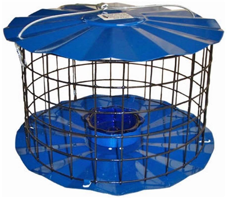 Cagedbluebirdfeeder