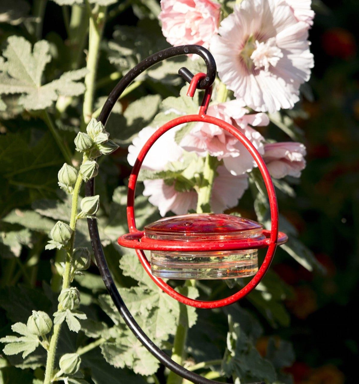 sphere hummingbird feeder