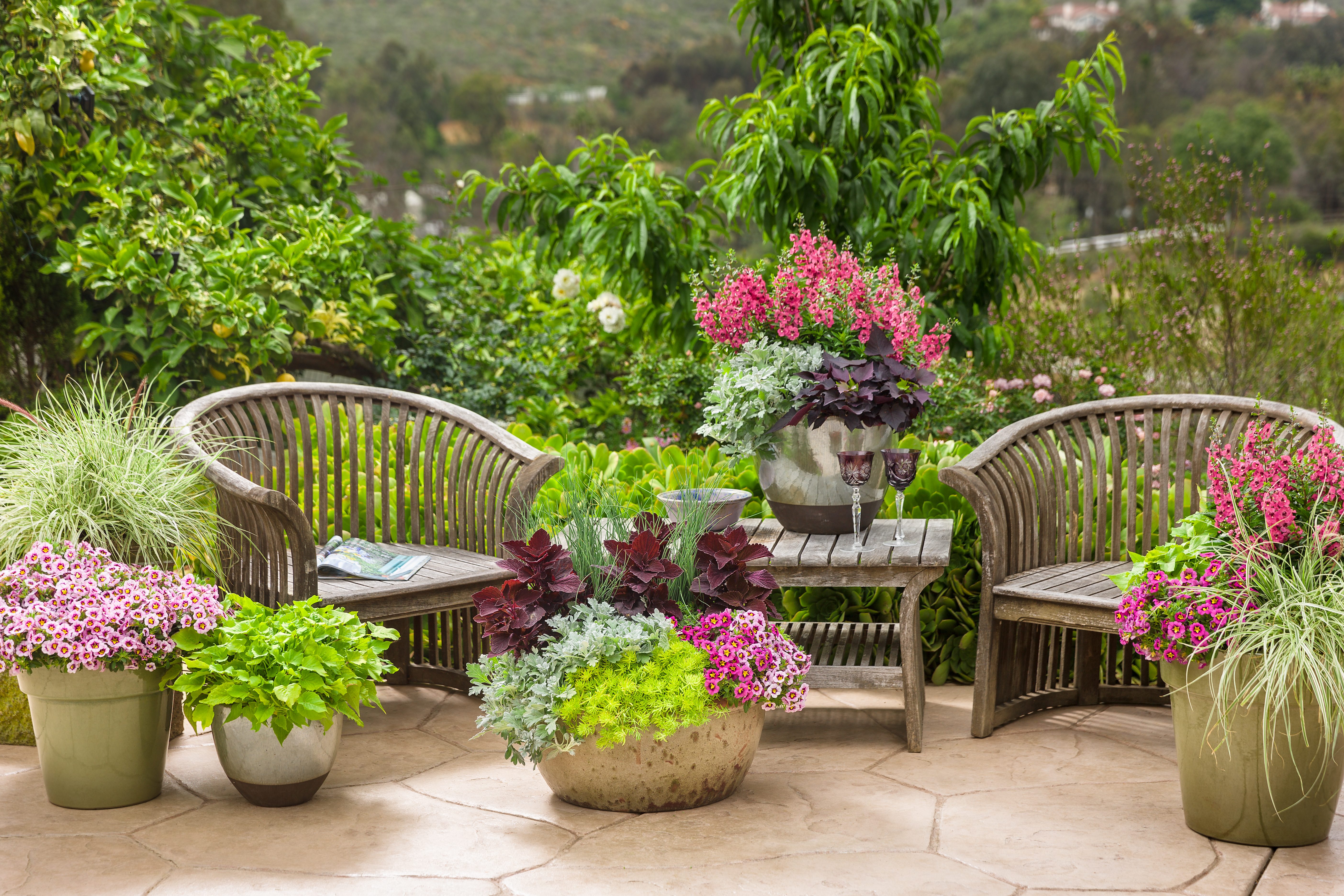 container garden ideas