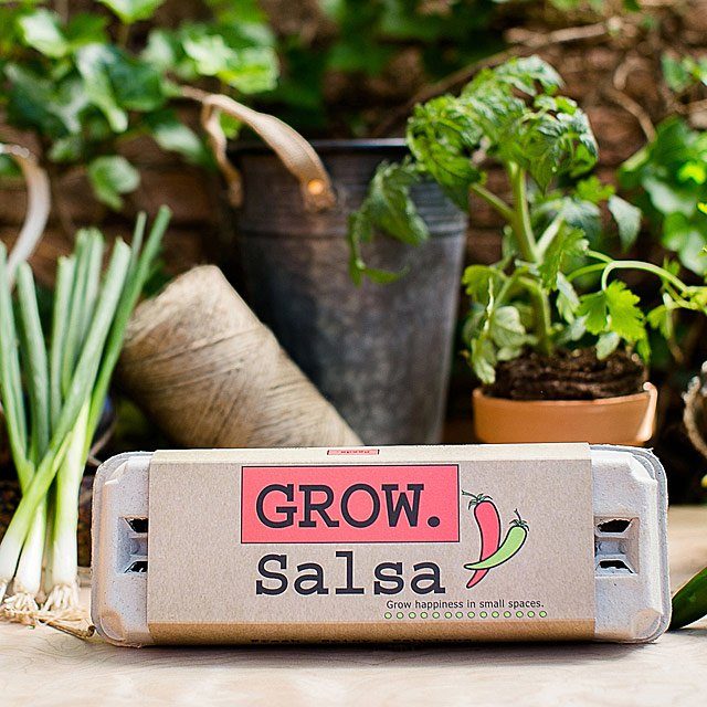 salsa grow kit, gardening gifts for dad