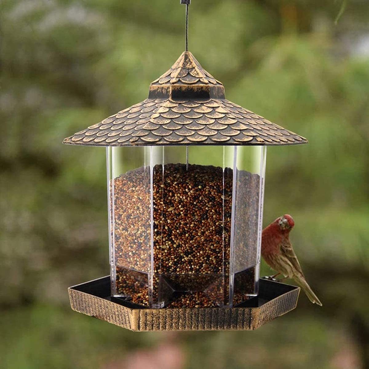 twinkle star best hopper bird feeder