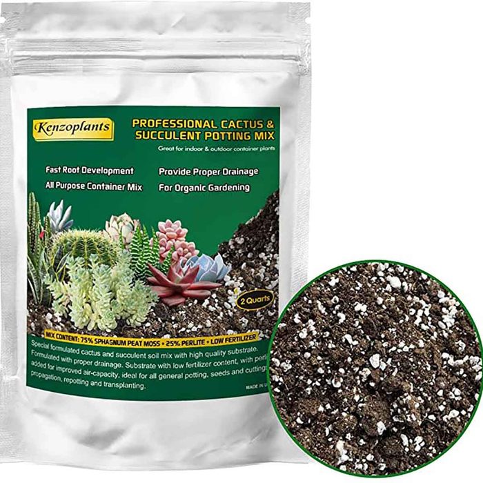 best potting soil