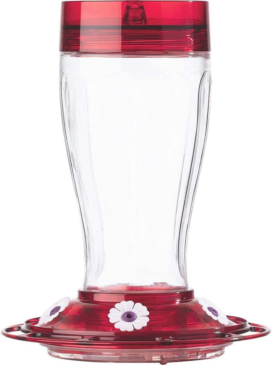 big gulp hummingbird feeder