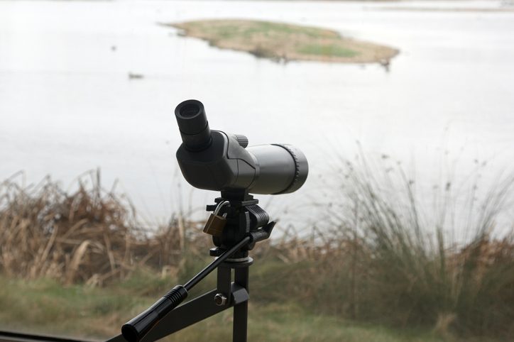 Digiscope at the lake