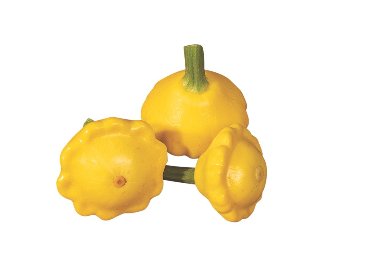 Lemonsun Jss