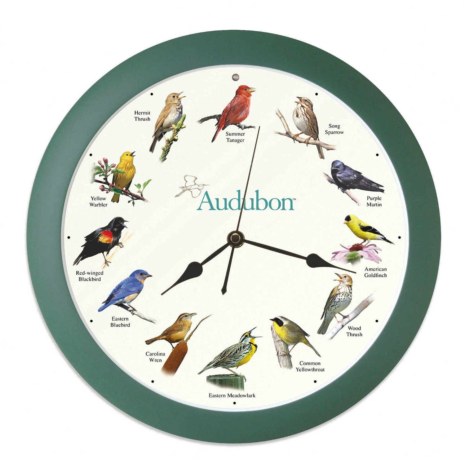bird clock