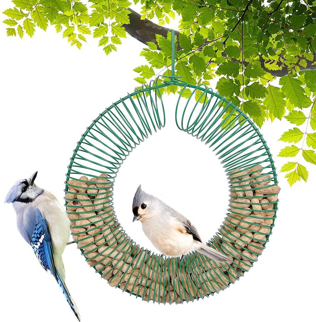 peanut wreath blue jay feeder