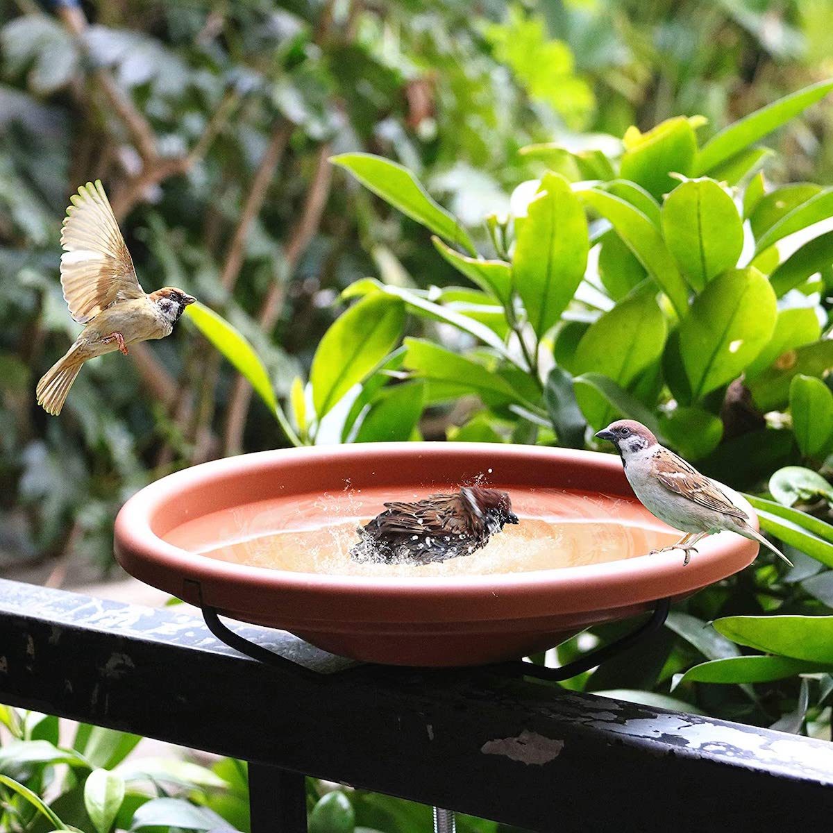 deck mounted birdbath