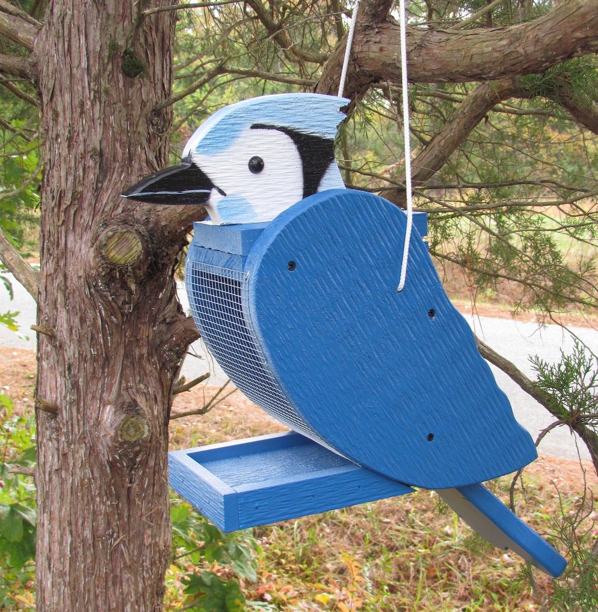 blue jay bird feeder