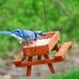 9 Easy Tips for Feeding Birds in Summer