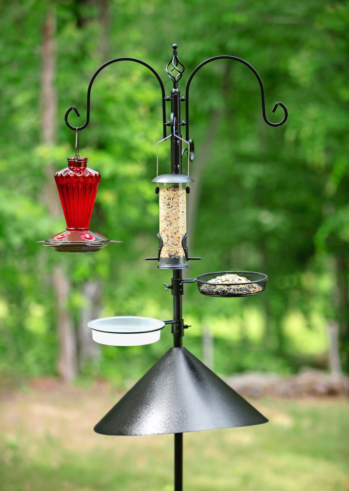 Beautiful Birdfeeder In A Summer Garden