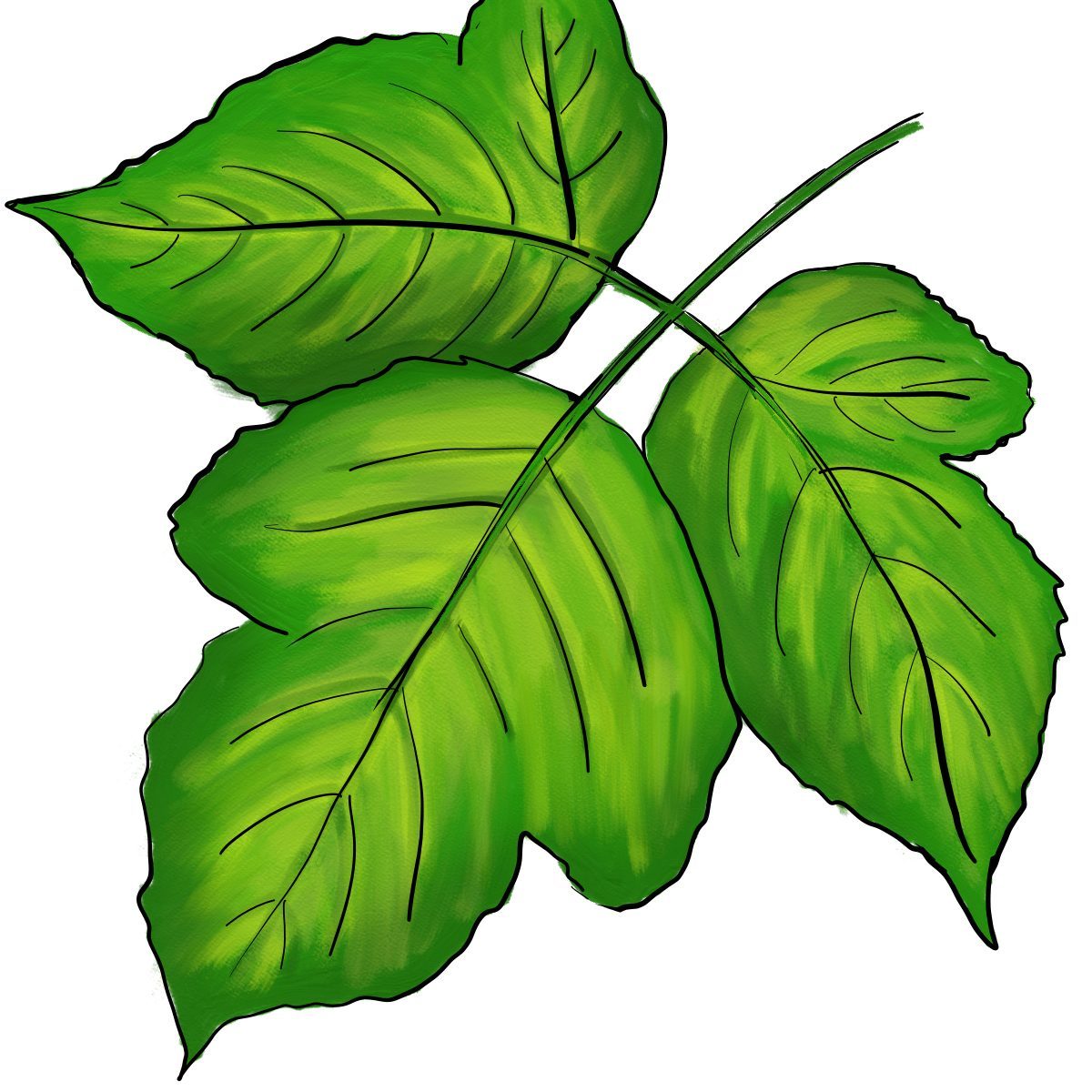 Poisonivy