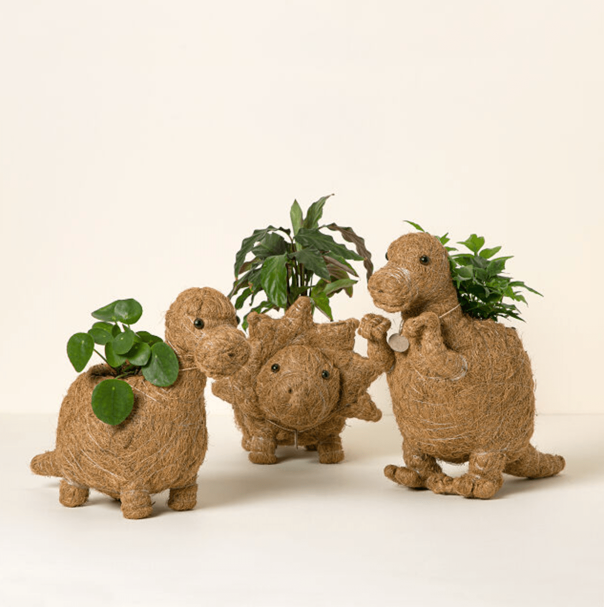 Coconut Fiber Dinosaur Planter
