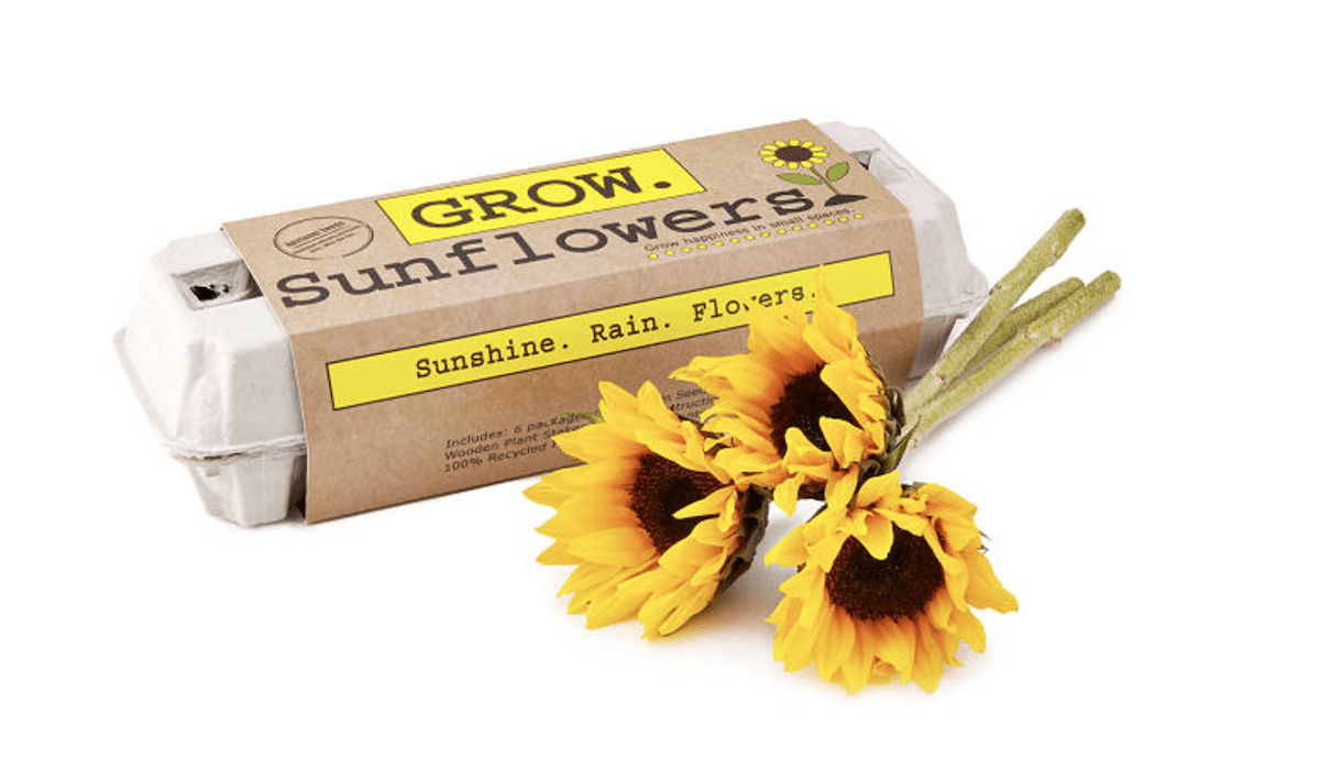 Sunflower Garden Grow Kit