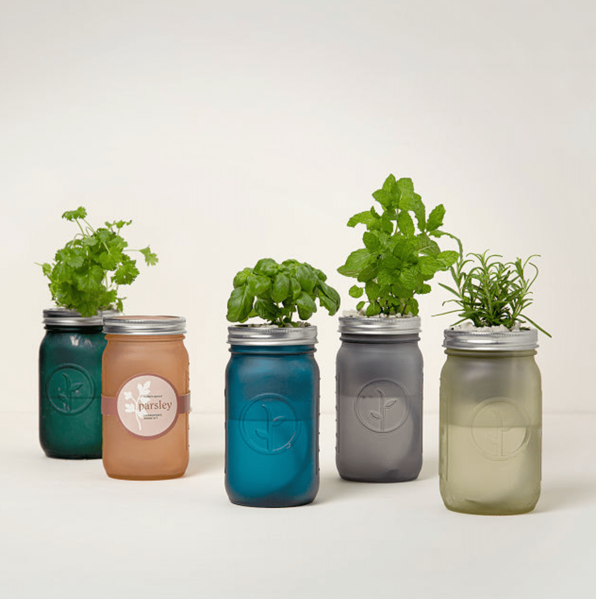 Mason Jar Indoor Herb Garden