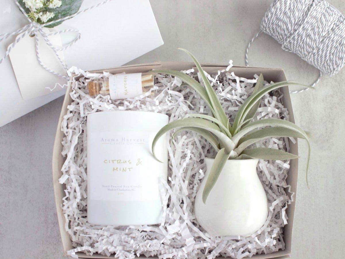 candle and air plant