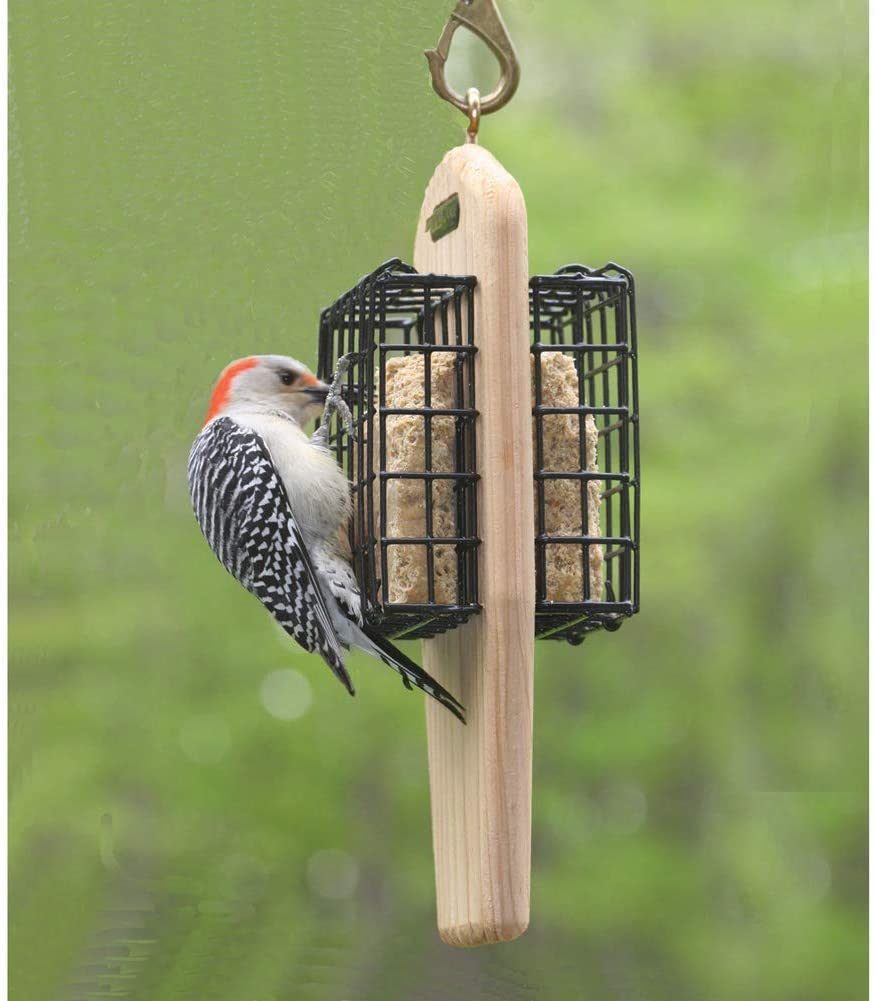 double suet feeder