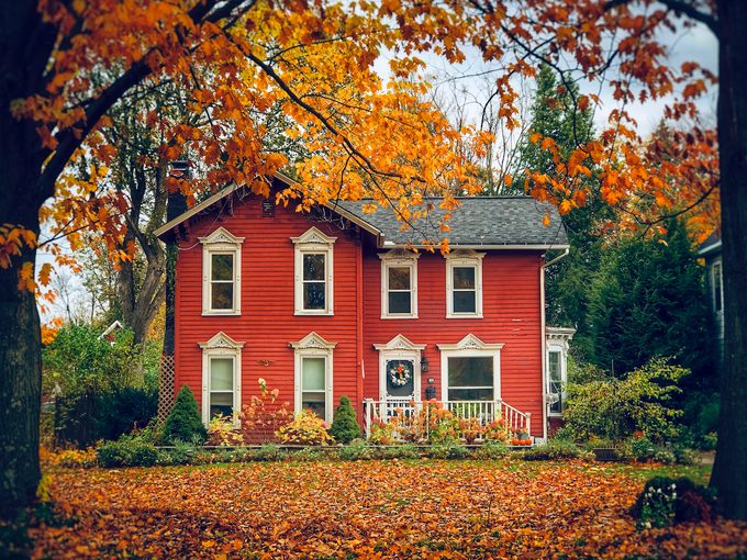 fall leaf colors