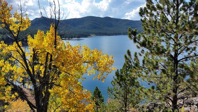 fall leaf colors