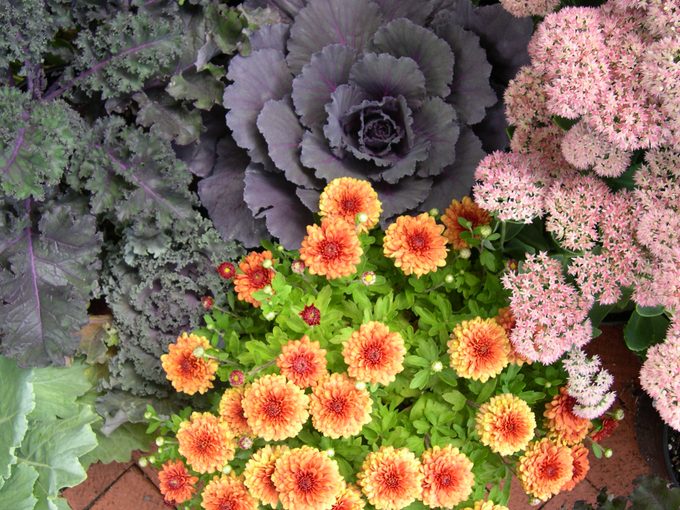 Autumn arrangement
