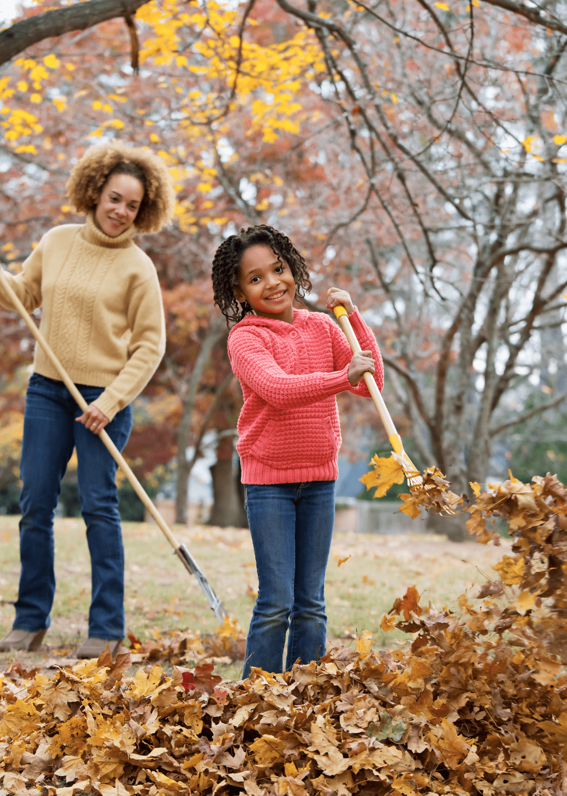 fall cleanup