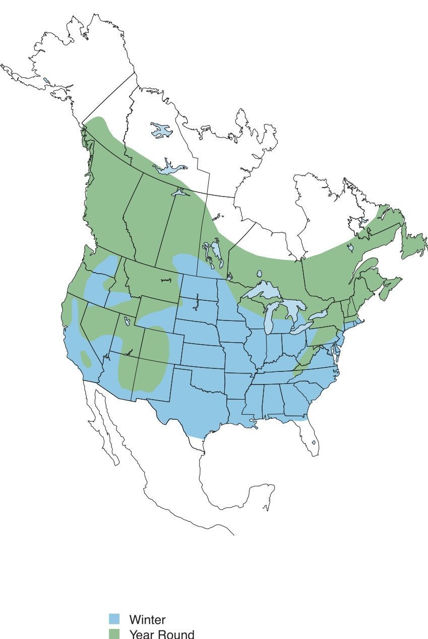Rb Nuthatch Map Conv