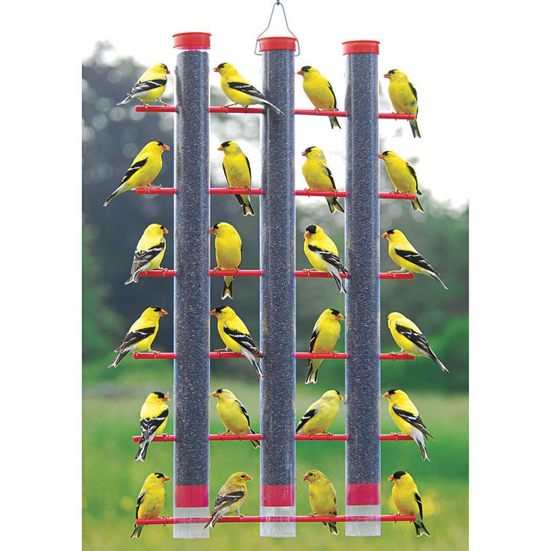 triple tube finch feeder