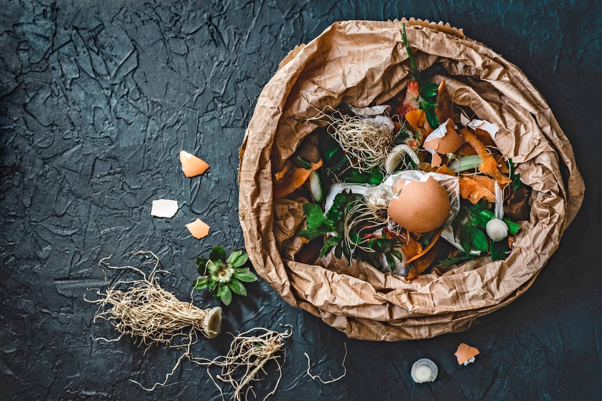 Garbage Sorting. Organic Food Waste From Vegetable Ready For Recycling And To Compost On The Dark Background