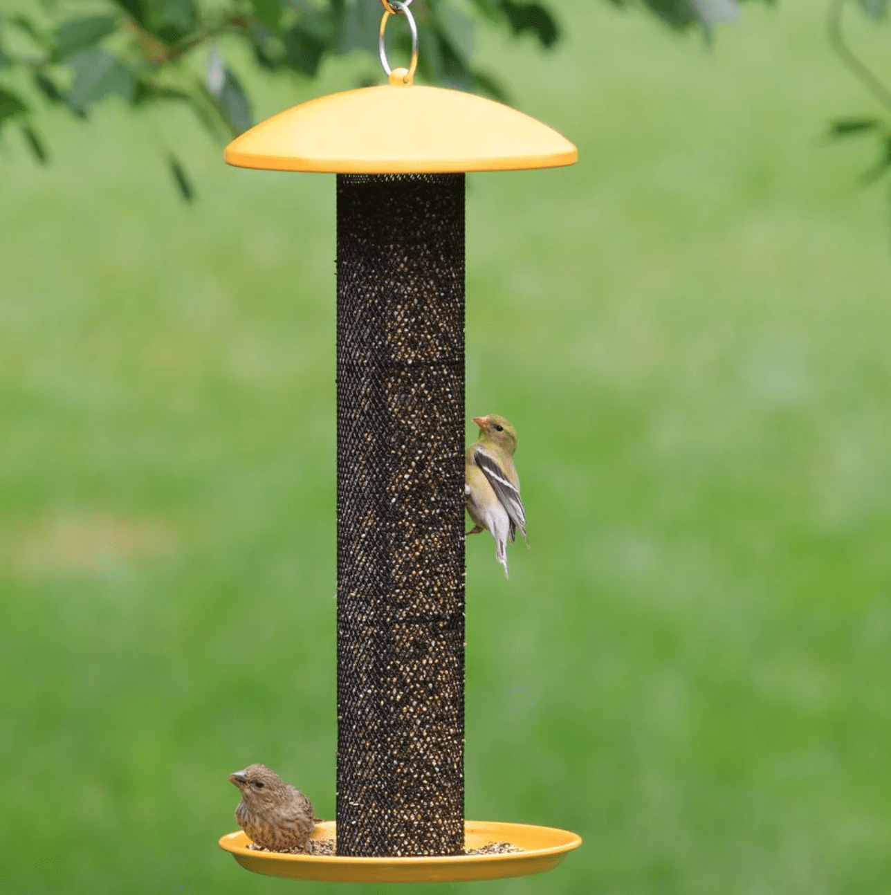 mesh finch feeder