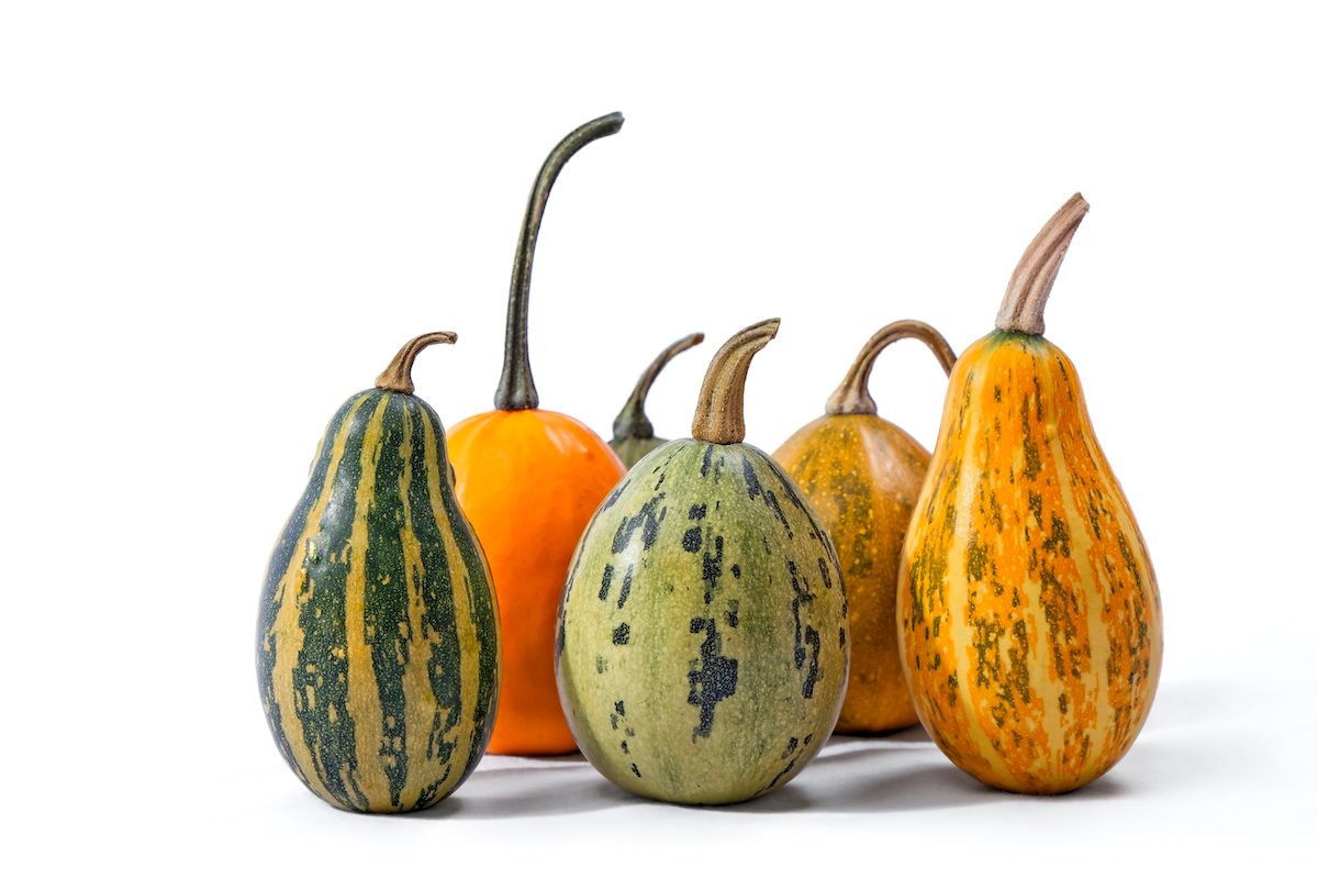 Shutterstock 779867683