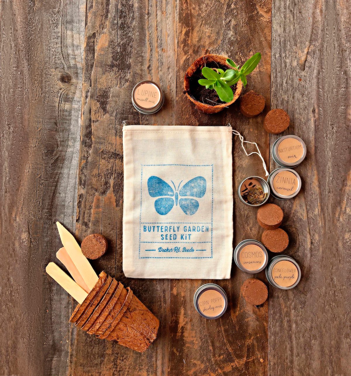 08 Giftguide Bbdj22 Butterflygarden