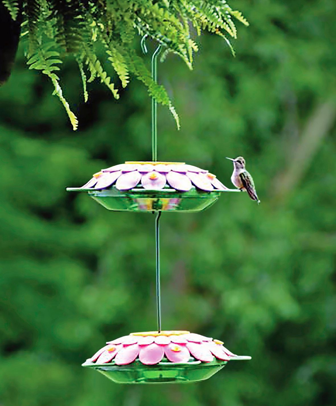 08 Giftguide Bbdj22 Homedepotfeeder2