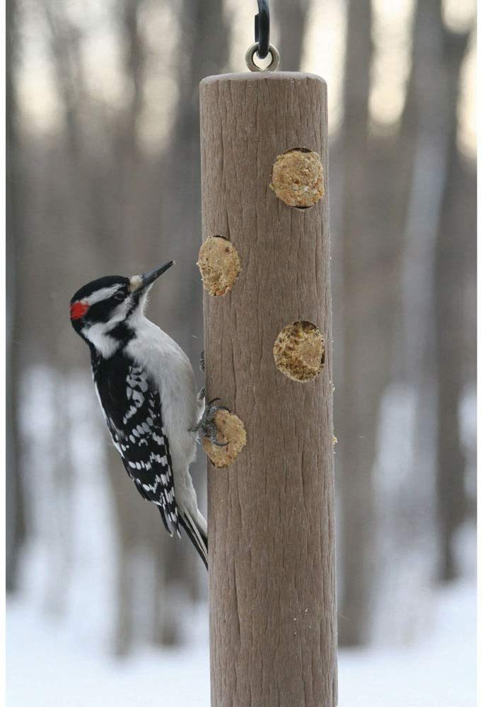 log feeder