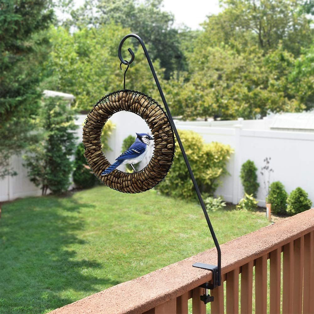 peanut feeder
