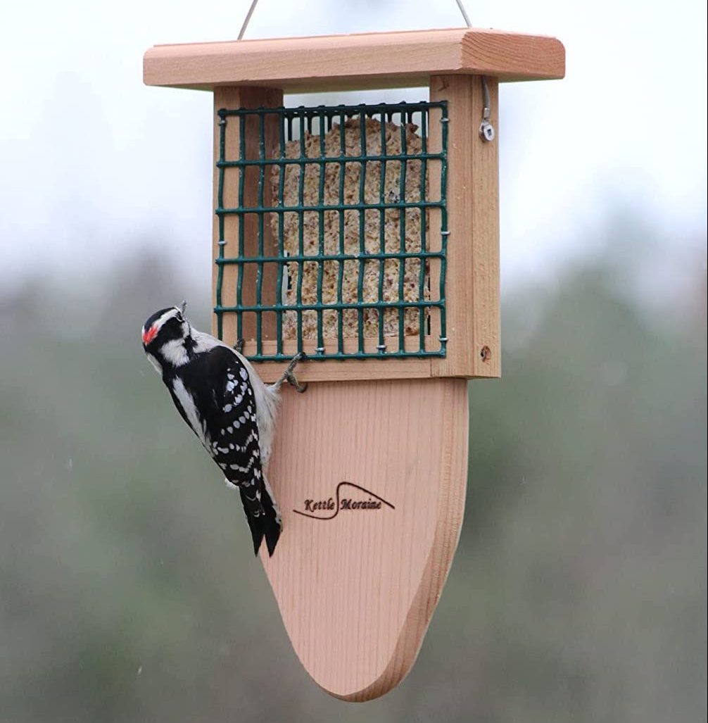 suet feeder