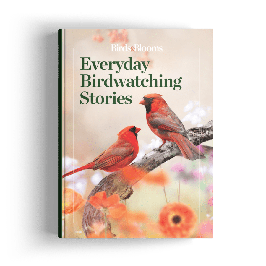 Everyday Birdwatching Stories Birding Book Cover, gardening gift ideas