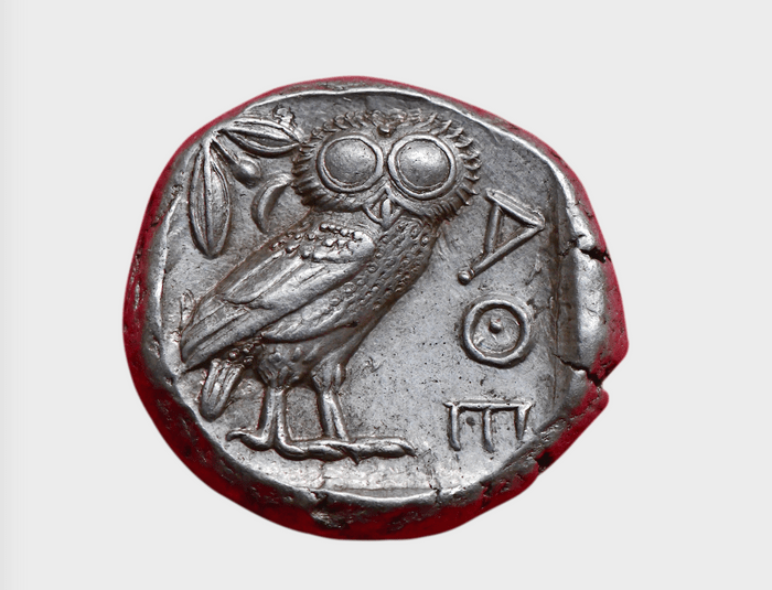 fun facts about owls